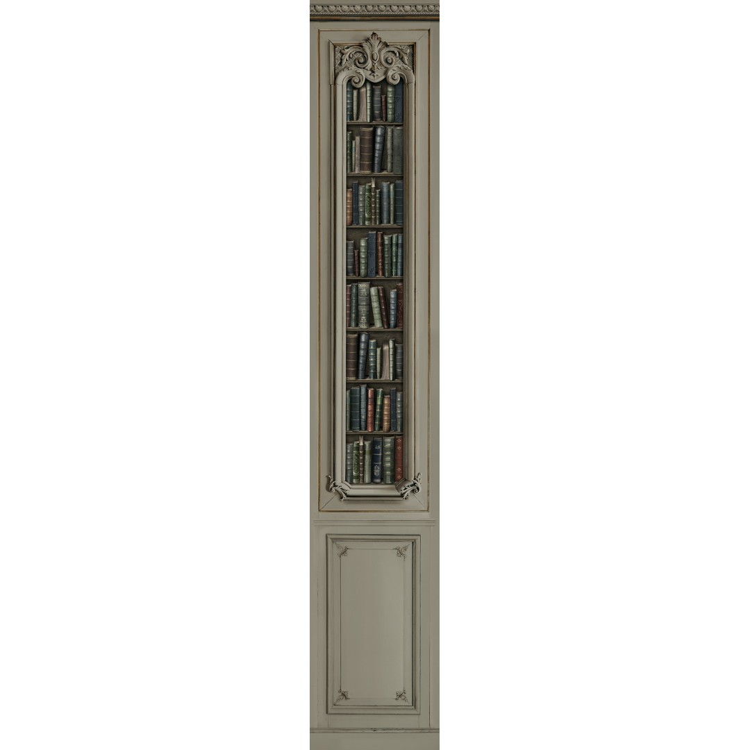 Décor boiserie Haussmannienne bronze bibliothèque 52cm