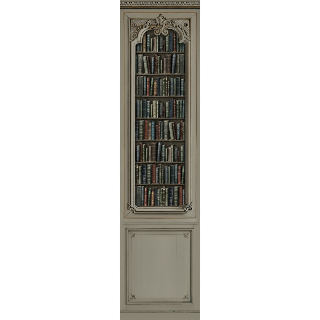 Décor boiserie Haussmannienne bronze bibliothèque 75cm