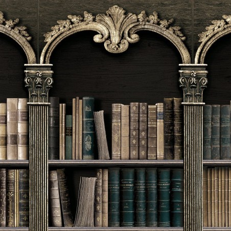 Antique Books On Bookshelf Mural - Murals Your Way