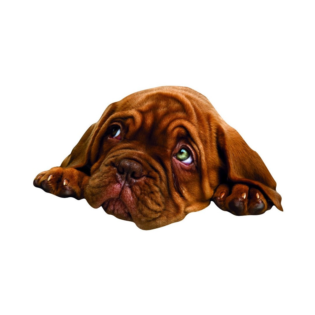 Mark le Dogue de Bordeaux