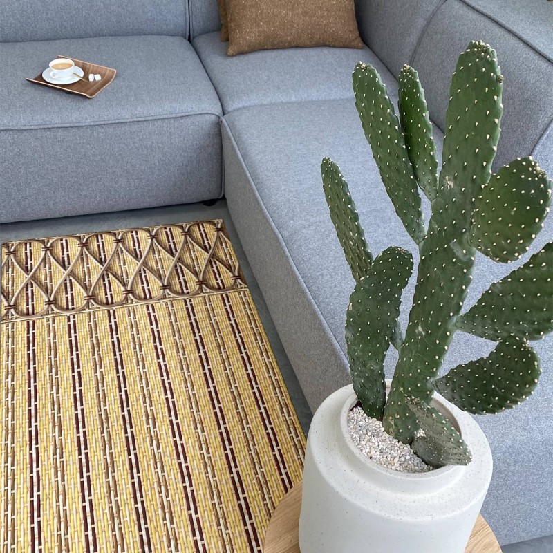 La tendance du tapis ethnique en décoration - Cactus & Béton