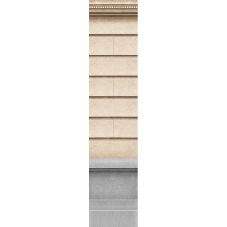 Narrow wall of haussmannian facade