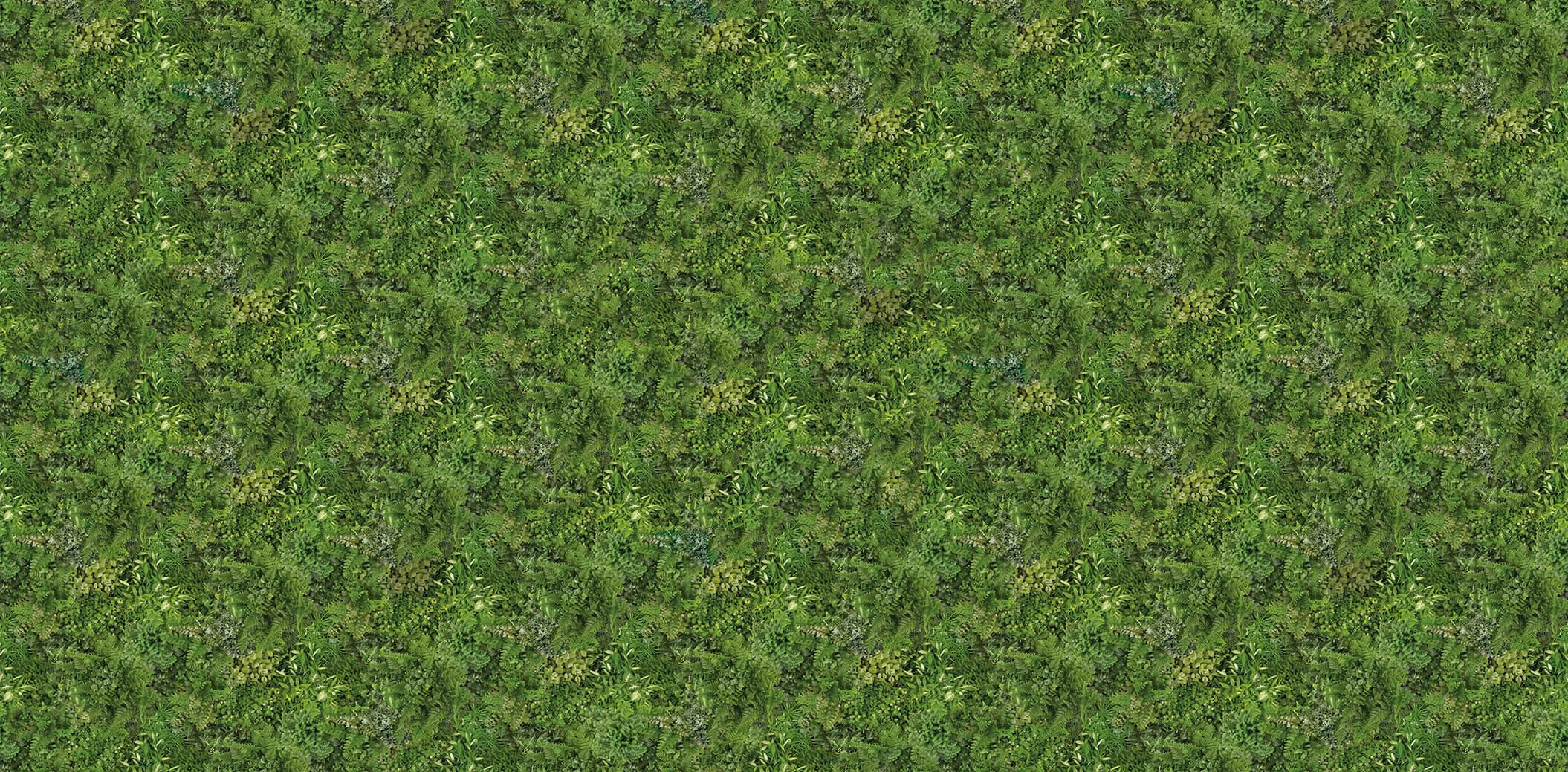 Papier peint panoramique - Mur végétal - Plantes, pots et bouquins -  Version 2- 255cm x 280cm (L x H)