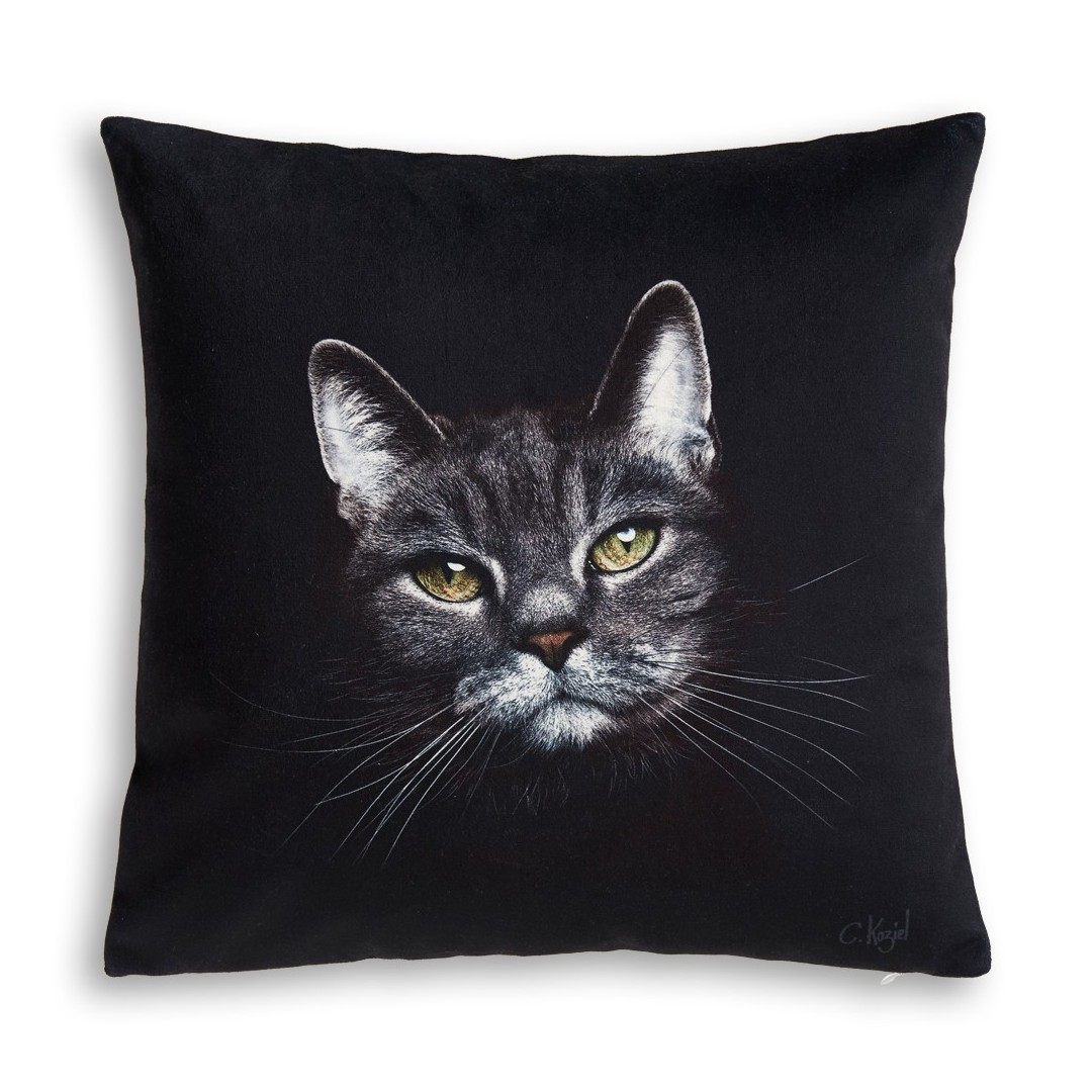 Coussin Chat