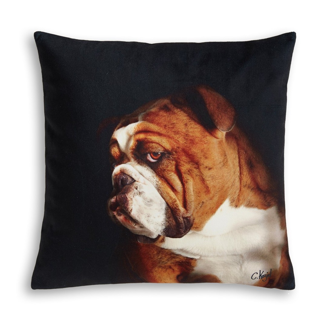 English Bulldog cushion