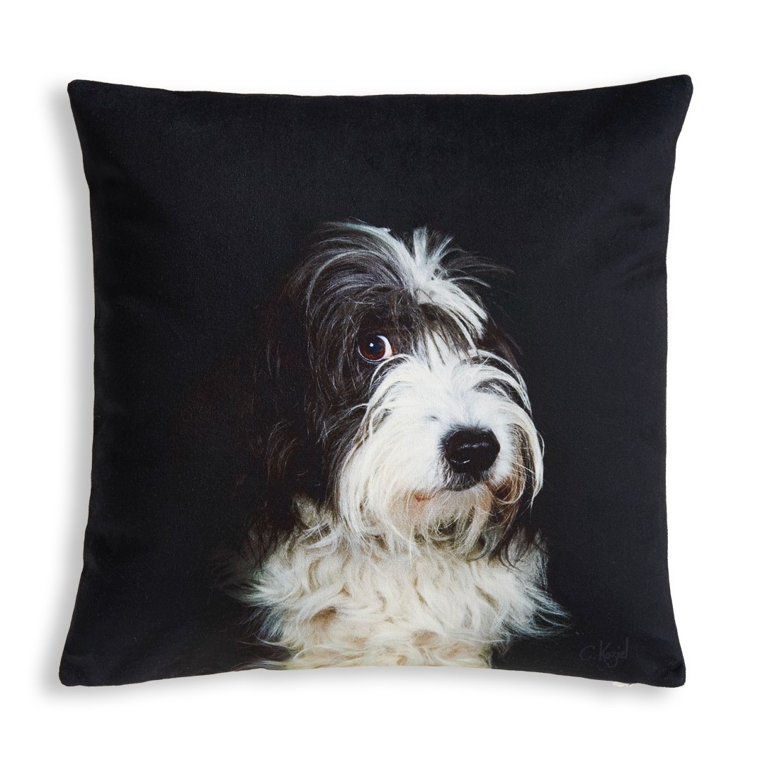 Bearded Collie cushion