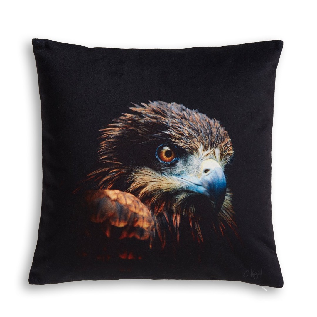 Coussin Aigle