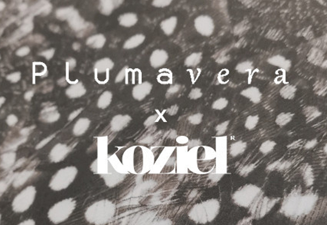 Plumavera x Koziel